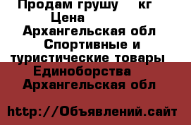 Продам грушу 55 кг. › Цена ­ 2 500 - Архангельская обл. Спортивные и туристические товары » Единоборства   . Архангельская обл.